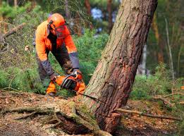 Soil Testing and Treatment in Nescopeck, PA